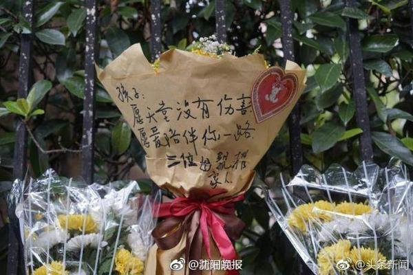 广积粮，终称王！蓝军再登世界之巅，三年打磨终获回报，有钱真好